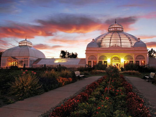 Family Membership @ The Buffalo Botanical Gardens