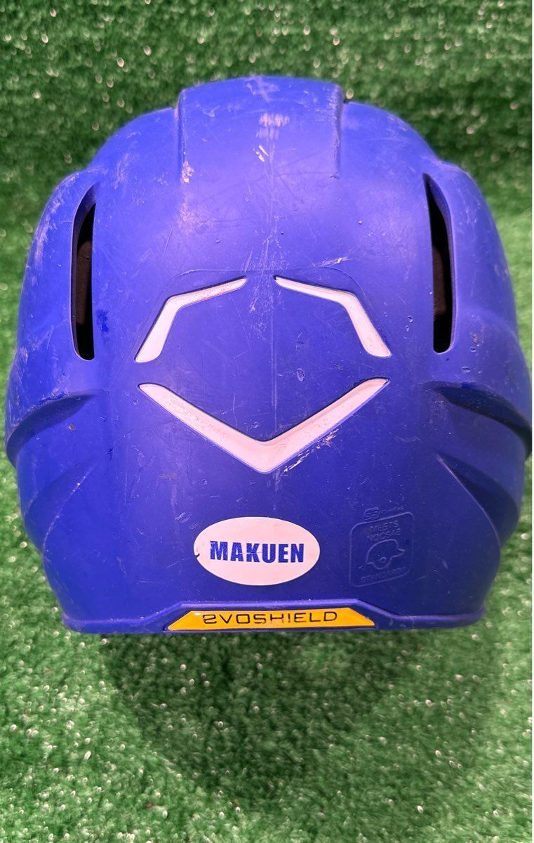 Wilson Evo Shield Batting Helmet