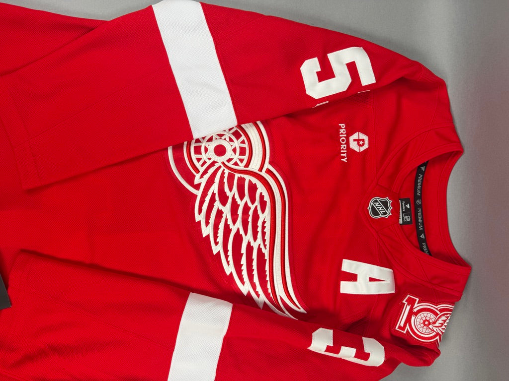 Detroit Red Wings Moritz Seider Autographed Jersey