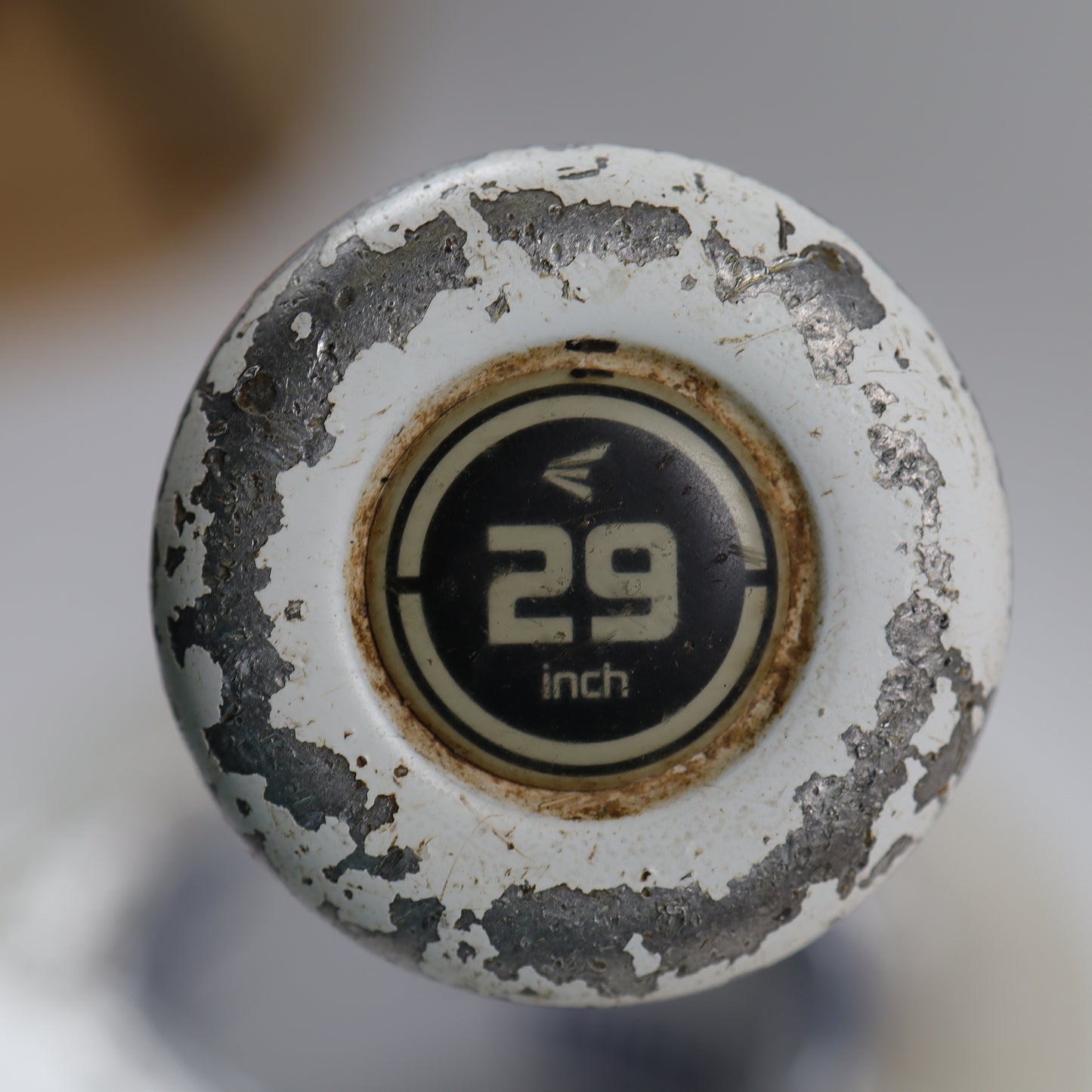 Easton Beast Speed 29/19 (-10) 2 3/4" USSSA (1.15 BPF) Baseball Bat